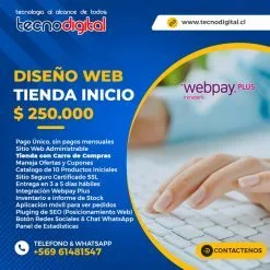 Diseño Web Tienda Inicio